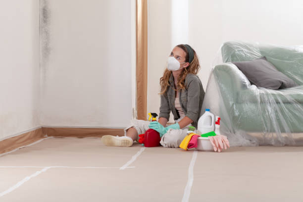 Reliable Mold Cleanup contractor in Mill Hall, PA by WQB Mold Removal